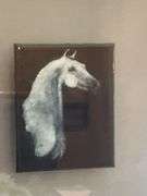 Horse picture