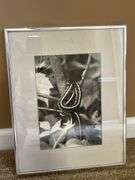 Framed prints