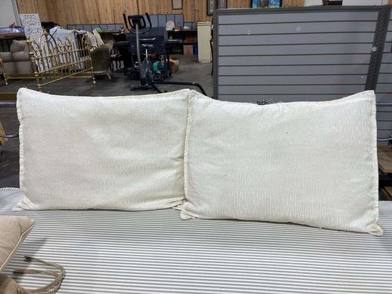 Pillows and cushion