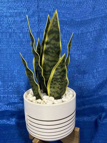 Artificial arrangement