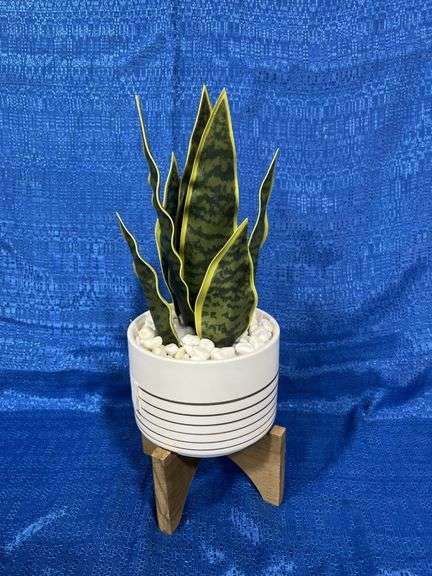 Artificial arrangement