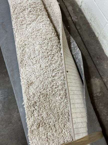 Large area rug