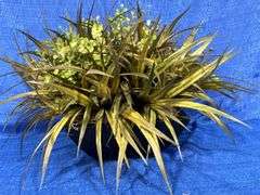 Centerpiece