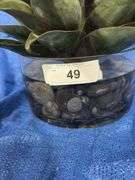 Artificial cactus