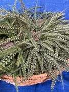 Artificial greenery