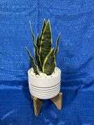 Artificial arrangement