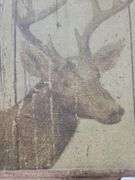 Deer print