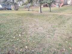 245 E Dahlstrom Ave, Appleton, MN 56208