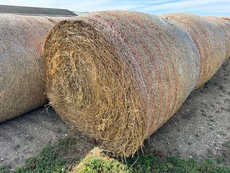 (12) 5 x 5 Alfalfa Bales, Net Wrapped, From 2024