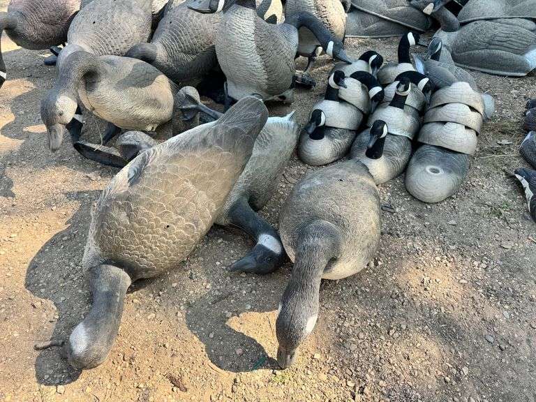 (16) Full Body Decoys and (8) Shells, Buying All for One Money ...