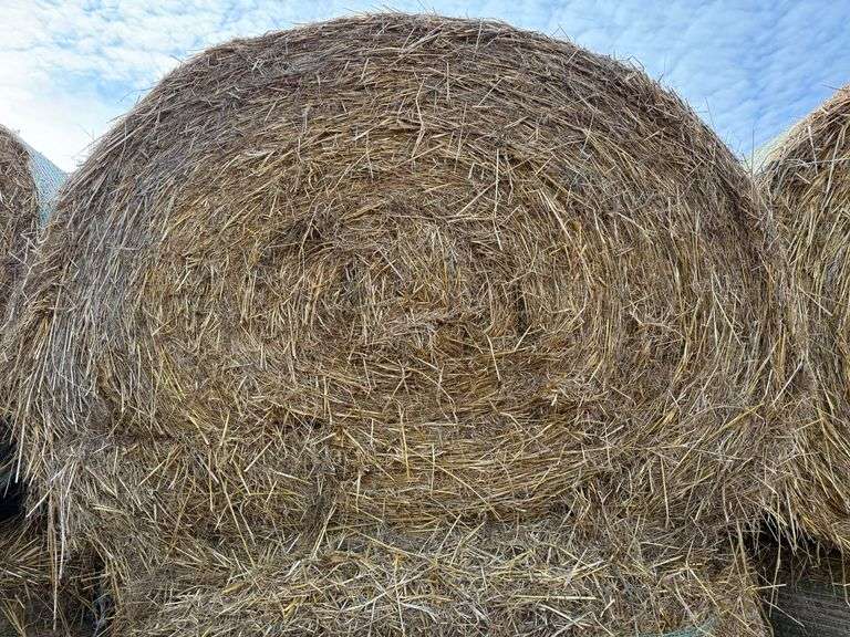(15) 2024 Oat Straw Bales, Net Wrapped, Baled with John Deere 568 Baler, 5.5’ x 5’