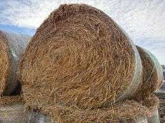 (15) 2024 Oat Straw Bales, Net Wrapped, Baled with John Deere 568 Baler, 5.5’ x 5’