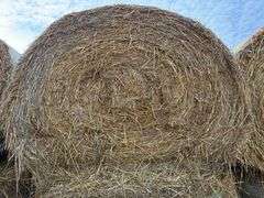 (15) 2024 Oat Straw Bales, Net Wrapped, Baled with John Deere 568 Baler, 5.5’ x 5’