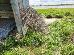 (15) 16’ Stock Aid Cattle Panels, 52” Tall. This Item is Located in South Dakota, Therefore South Da