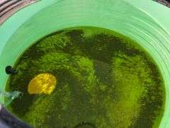 1250 Gallon Poly Tank with 2” Discharge, Shows a Slight Crack Above 800 Gallons