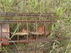 Hutchinson 8” x 53’ Auger, 540 PTO, Needs 1 Bearing Replaced on Drive Line, SN: 177092