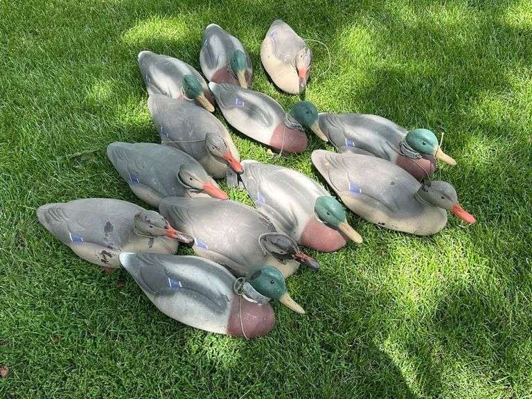 (12) Mallard Duck Decoys, Buying All for One Money