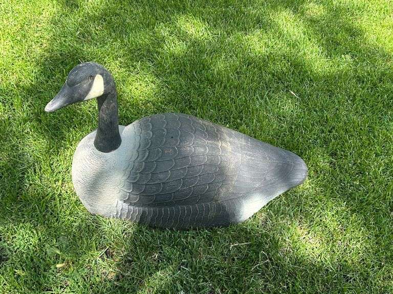 (10) Goose Decoys, Buying All for One Money