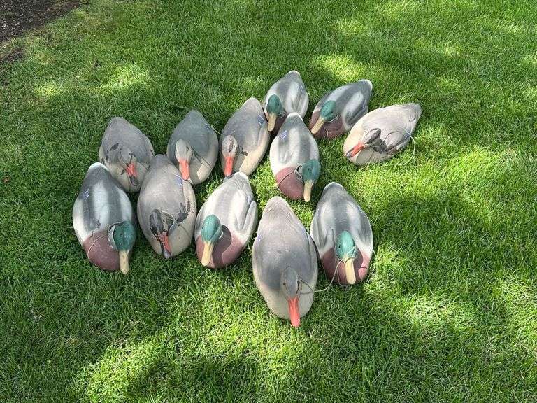 (12) Mallard Duck Decoys, Buying All for One Money