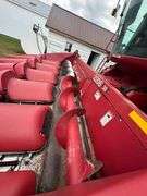 2003 IH Model 2206 Corn Head, 6 Row 30”, Height Control Poly Snoots, SN: 034233