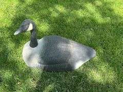 (10) Goose Decoys, Buying All for One Money