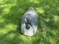 (10) Goose Decoys, Buying All for One Money
