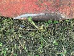 500 Gallon Fuel Barrel, Might Leak Per Seller