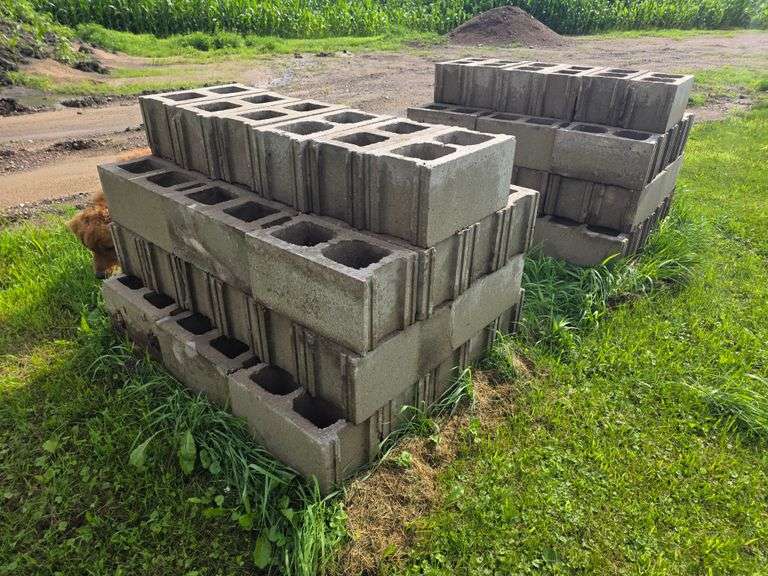 (2) Pallets of Cinder Blocks, Buying All for One Money