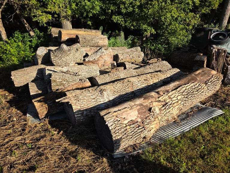 Pile of Wood, Mostly Ash, Has Been Down Approx 10 Years, Ready to Cut and Burn