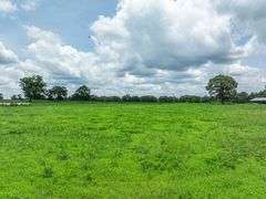 5.75+/- Acres MS-29 Ovett, MS