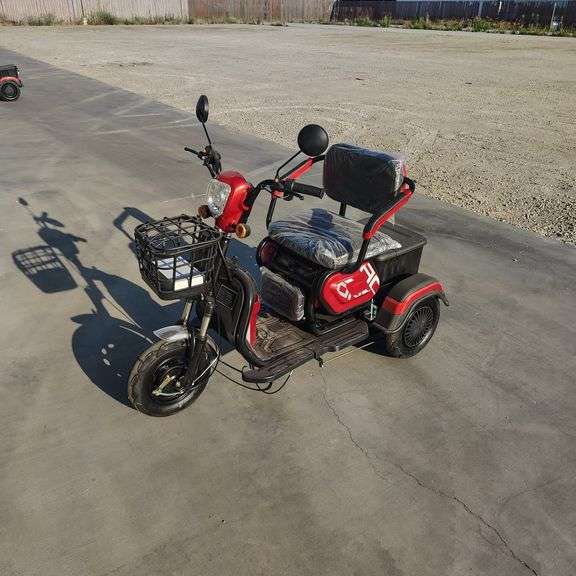 48V 2 Person 3-Wheel Electric Cart (New/Unused)