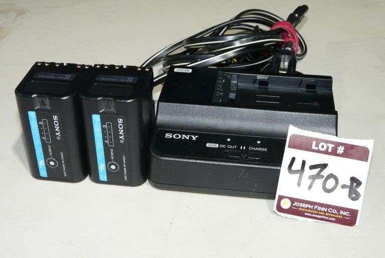 Lot (2) Sony BP-U30 Batteries with BC-U1A AC Adaptor/Charger