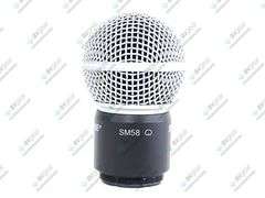 Shure SM58 Microphone Capsule