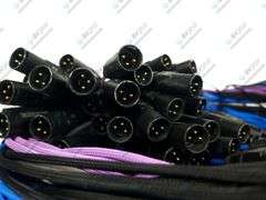 Whirlwind Medusa 32-Input Stage Box w/ (2) Male 3-Pin DMX Fanout Cables