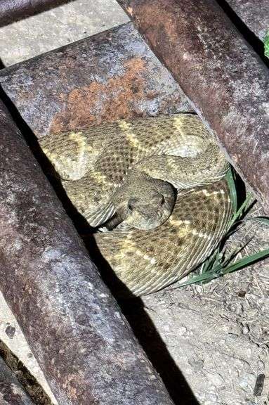 WAIVER AND RELEASE OF LIABILITY TO ENTER LOCATION