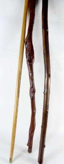 CARVED WALKING STICKS
