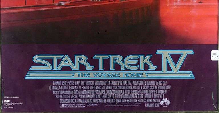 TWO STAR TREK MOVIE POSTERS