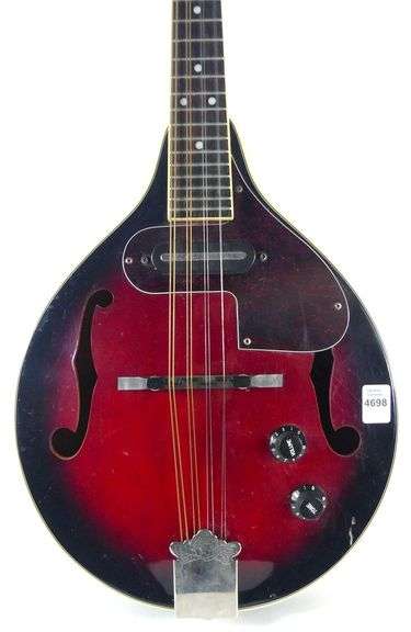 ACOUSTIC ELECTRIC MANDOLIN
