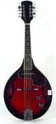 ACOUSTIC ELECTRIC MANDOLIN