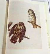 TWO VOLUMES: THE PAINTINGS OF JOHN JAMES AUDUBON