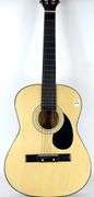 ACOUSTIC GUITAR