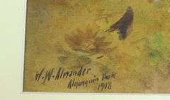 WILLIAM WALKER ALEXANDER