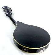 ACOUSTIC ELECTRIC MANDOLIN