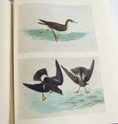 TWO VOLUMES: THE PAINTINGS OF JOHN JAMES AUDUBON