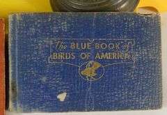 CURIOS & COLLECTIBLES