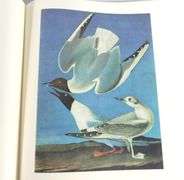 TWO VOLUMES: THE PAINTINGS OF JOHN JAMES AUDUBON