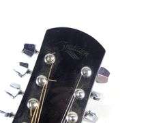 ACOUSTIC ELECTRIC MANDOLIN