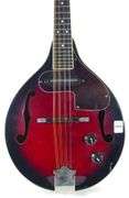 ACOUSTIC ELECTRIC MANDOLIN