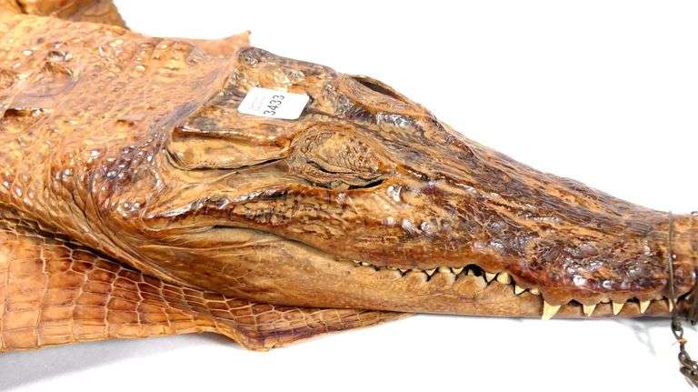 LATE VICTORIAN CROCODILE SKIN