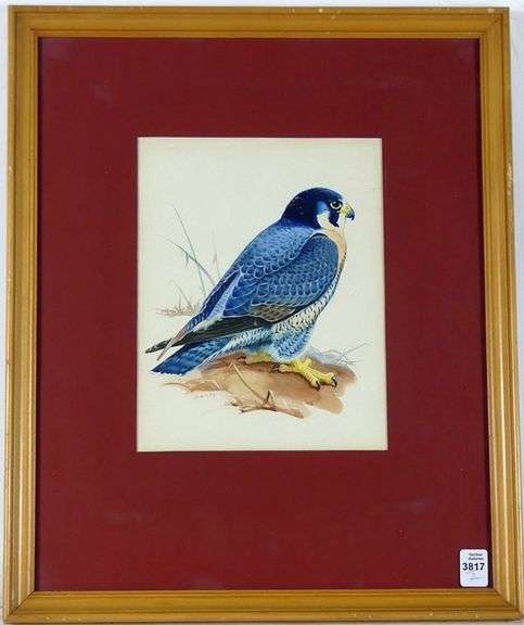 PAIR BIRDS OF PREY WATERCOLOURS